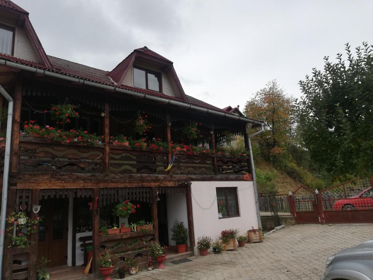 Готель Casa Cozorici Садова Екстер'єр фото